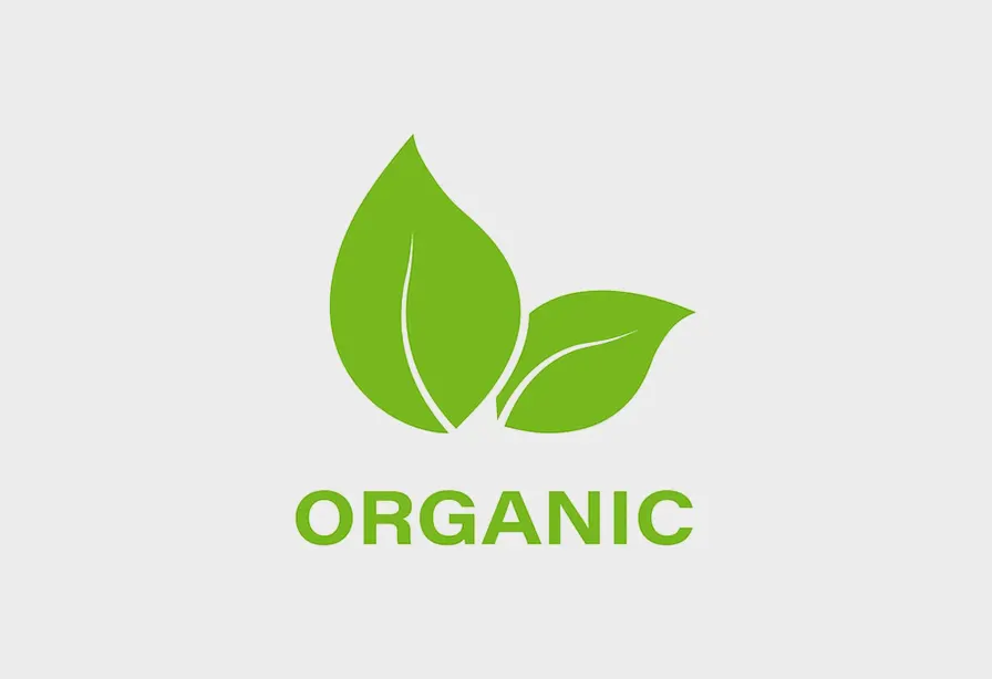 Streamlining Operations with Odoo ERP at GreenLeaf Organics